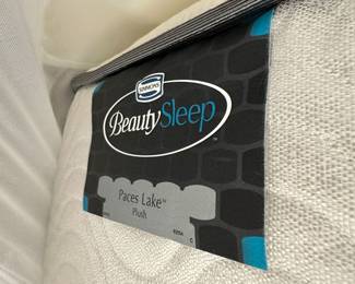 Queen mattress and box spring