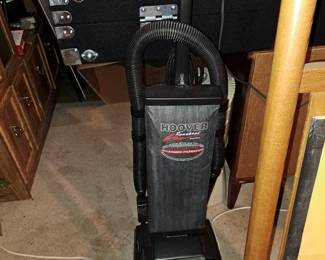 I hate to vacuum...but it's a necessity