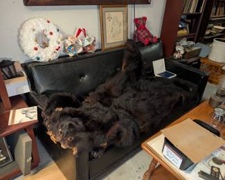 bear skin, couch