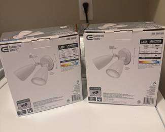 2 unboxed flood lights
