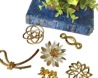Brooches with Sarah Coventry