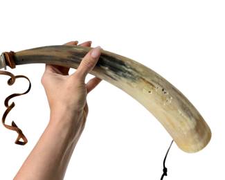 Antique Powder Horn