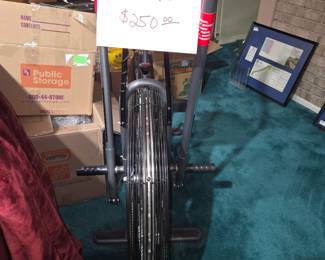 Schwinn Airdyne exercise bike