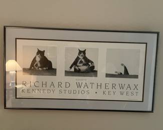 19 Cat Picture poster