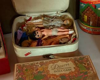 Dawn Doll Case Full