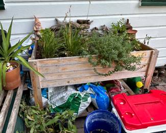 herb garden, PLEASE DO NOT REMOVE PLANTS FROM THIS GARDEN, IT IS BEING SOLD ALL FOR ONE PRICE!