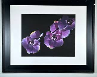 ORCHID PHOTOGRAPH | Purple orchid. Framed Photograph. 15.5 x 19.5 in. Sight - h. 27.75 x w. 33.75 x d. 1.5 in (frame)
