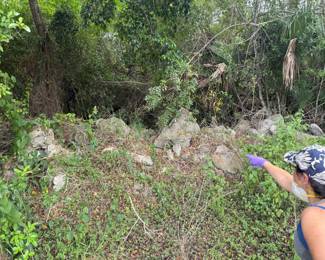 Landscape Coral Rock