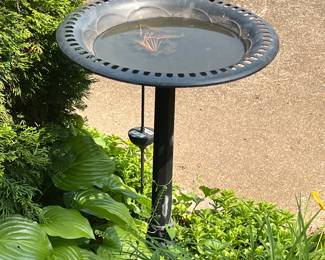 Bird Bath