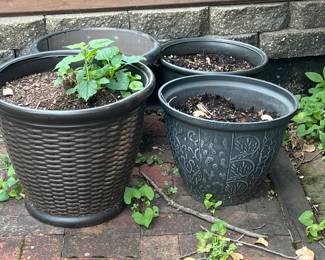 Pots and Planters