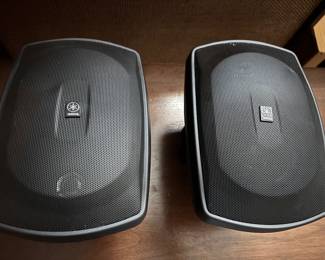 Nice indoor outdoor speakers