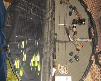 Compound Bow