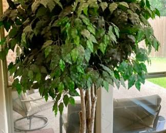 Decorative Artificial Ficus Tree.
