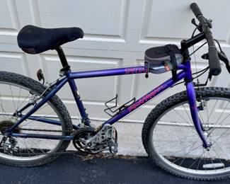 Vintage Specialized Mountain Bike