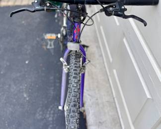 Vintage Specialized Mountain Bike