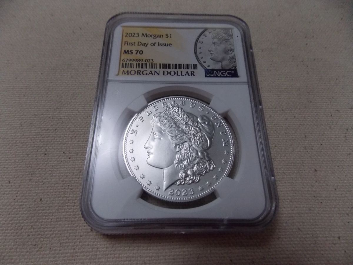 Morgan Silver Dollar