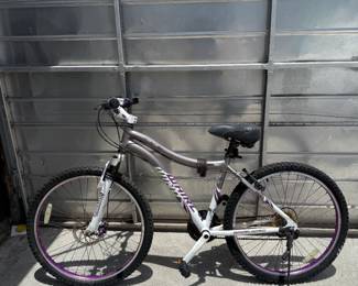 Ladies Mountain Bike