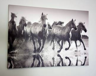 Wild Horses Canvas Print