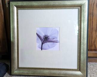 Flower X-Ray Framed Print, 25.5" x 25.5" x 1.5"