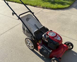 We also have a Craftsman 625 series lawn mower with the "Gold Edition" ~ featuring a Briggs & Stratton 625 series engine. 
