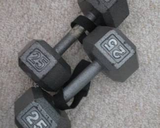 Exercise Weights