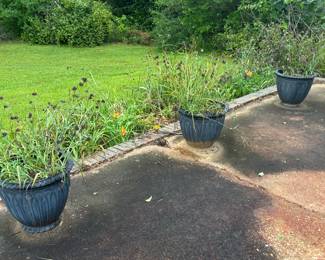 Planters