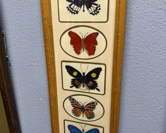 Water colored butterflies framed.