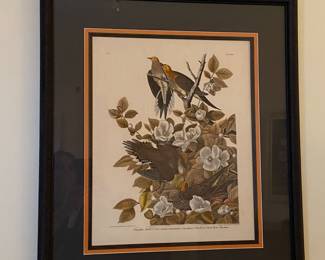 'Carolina Turtle Dove' by J.J. Audubon; plate: XVII; no. 4; approx. 18.5 x 15" (art only)