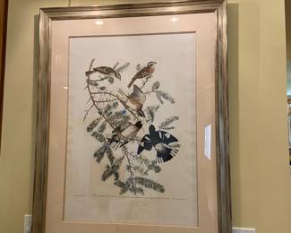 Rose-Breasted Grosbeak framed print by John James Audubon; plate: CXXVII, No. 26; approx. 23"x33" (art only)