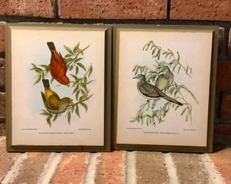 Pair Of John Gould & Henry Constantine Richter Litho Of Birds On Art Plaques By Wincraft