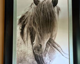 Freedom by Lisa Dearing Framed Photographic Print