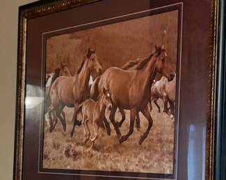 Framed print of photograph by Tony Stromberg