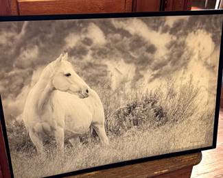 Print on Canvas