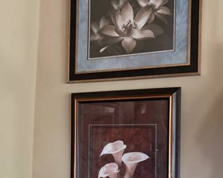 Beautifully Framed Prints of Flowers
