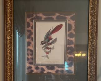 Jerry Bishop Hummingbird Signed Framed Print