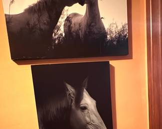 Print on Canvas