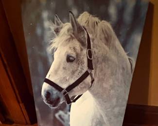 Print on Canvas