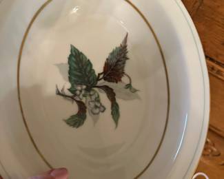 #30 - $ - Craftsman Imperial China Begonia made in Japan