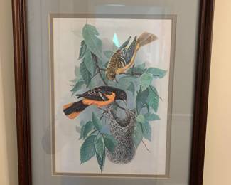 #67 Watercolor Print of Yellow Hammer Birds Framed - 13x16 $30.00