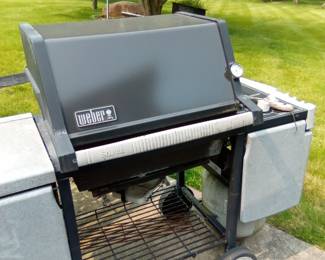 Weber grill