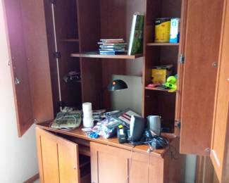 This would be a great craft cabinet.
