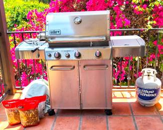 Weber bbq