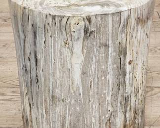 large petrified wood