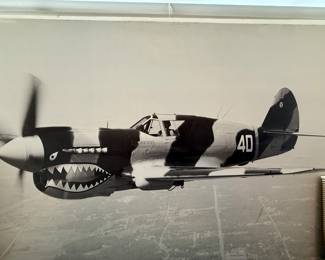 P40 Warhawk Large Poster Size photoboard
