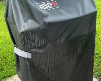 Weber outdoor grill, small 1-2 person gas grill
