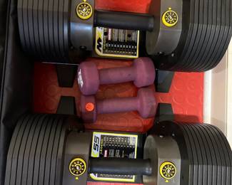 163. MX55 Adjustable Dumbbells
