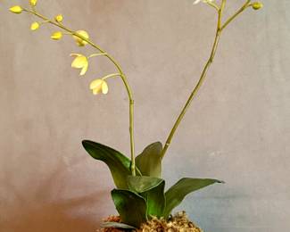 Faux Orchid
