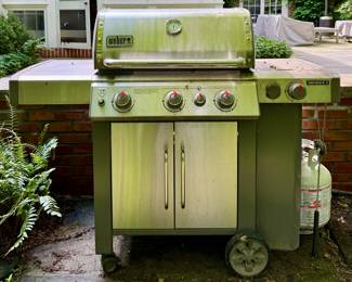 Weber Genesis II Grill