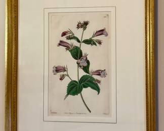 "Dogwood" Botanical Print