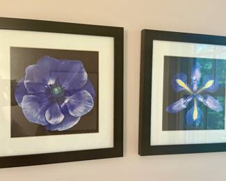Framed Artwork